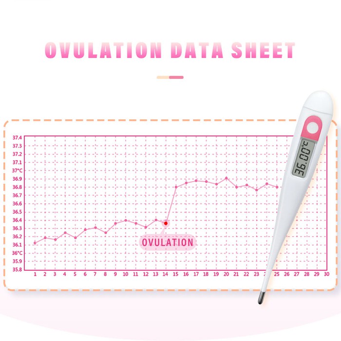 Basal Body Thermometer with ovulation strips Basal Body Thermometer with ovulation strips